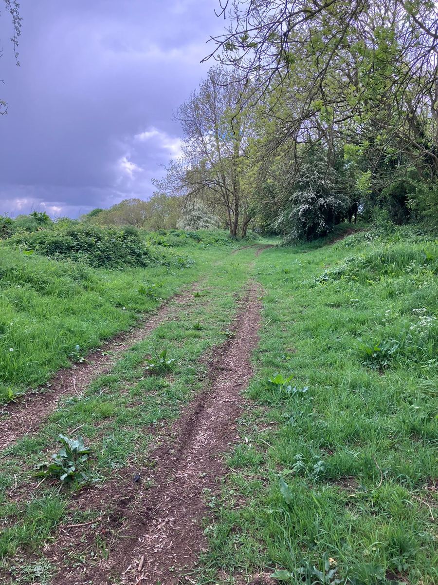 Woodland trail at Eaton Lodge 4x4